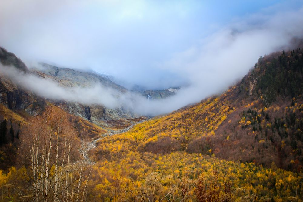 Фотография автора OXANA MARSOVA