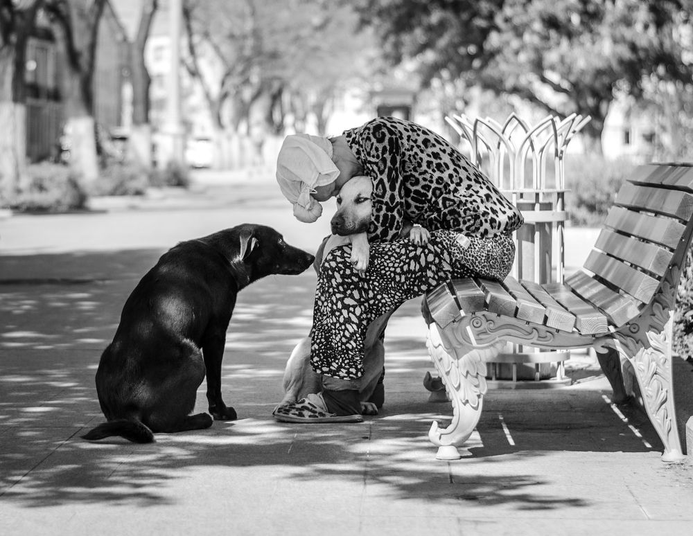 Друзья человека