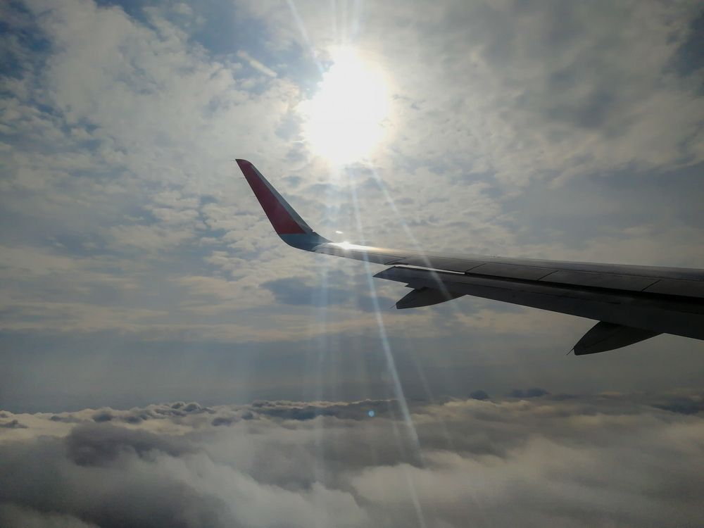 Фотография автора OXANA MARSOVA