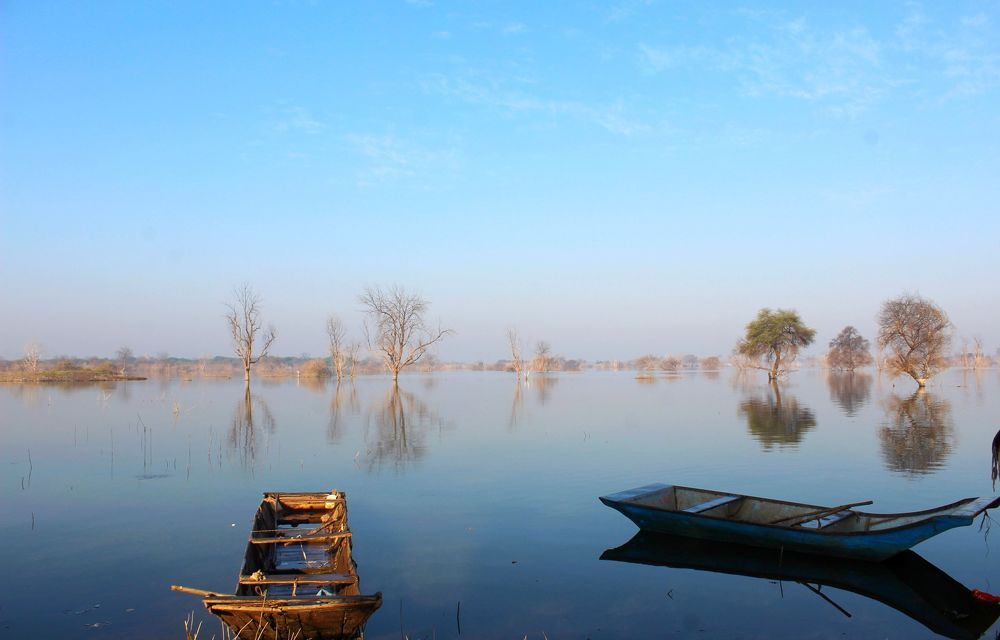 Фотография автора Vivek Tavate