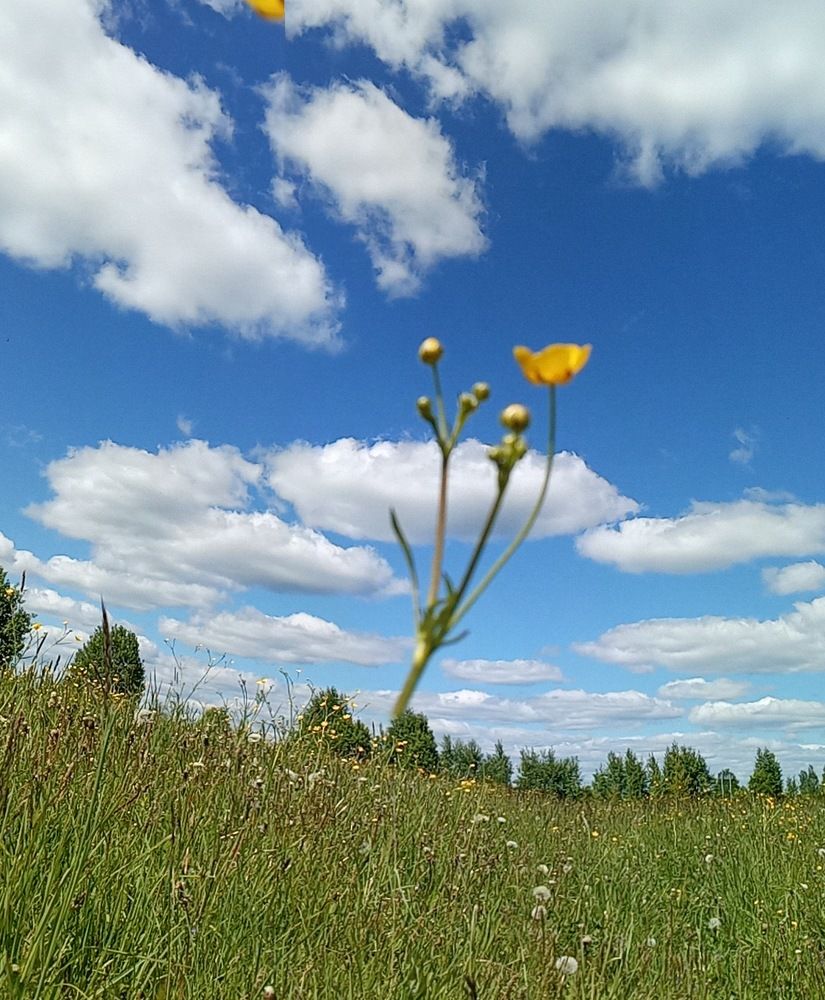 Photograph by Любовь Шаврина