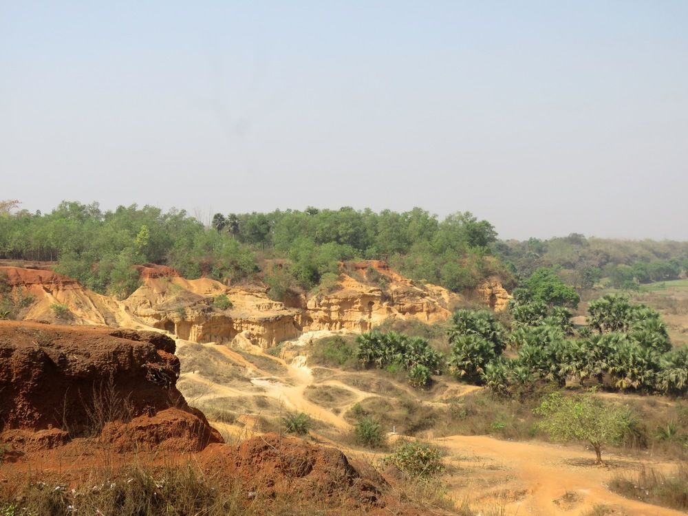 Photograph by suparna ghosh