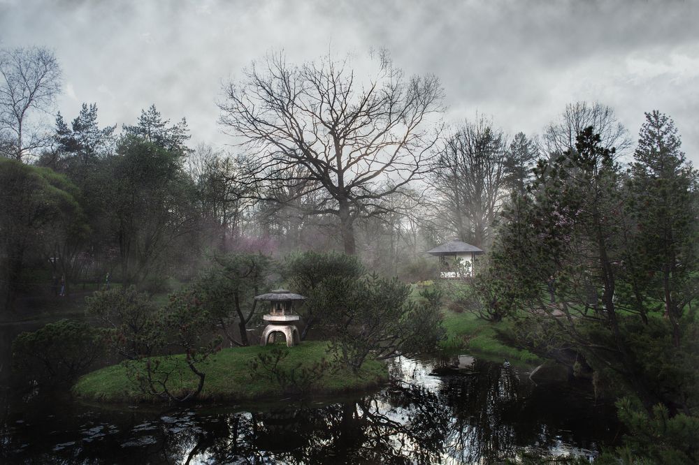 Photograph by Николай Лагоденко