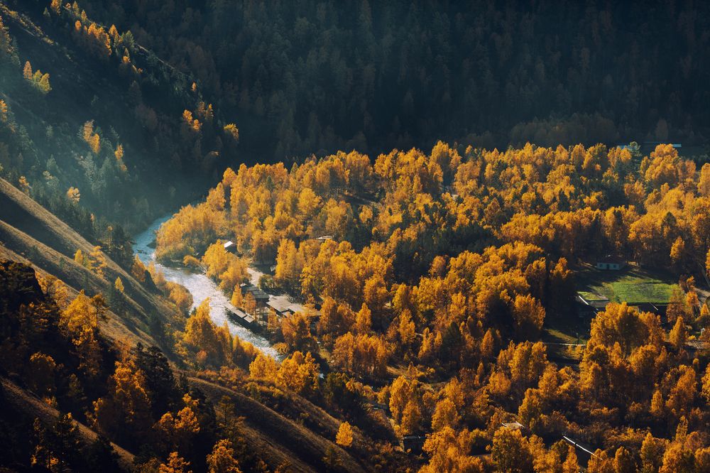 Фотография автора Анна Рыжкова