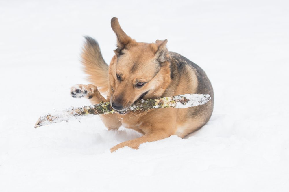 Photograph by Ольга Петруша