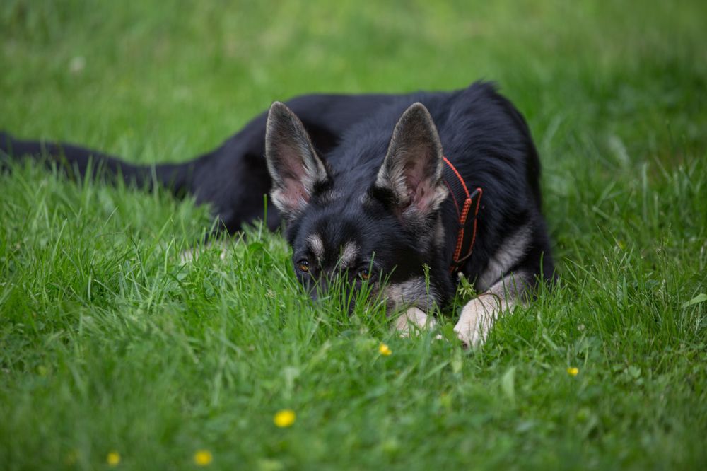 Photograph by Ольга Петруша