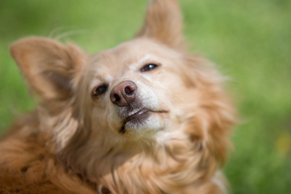 Photograph by Ольга Петруша