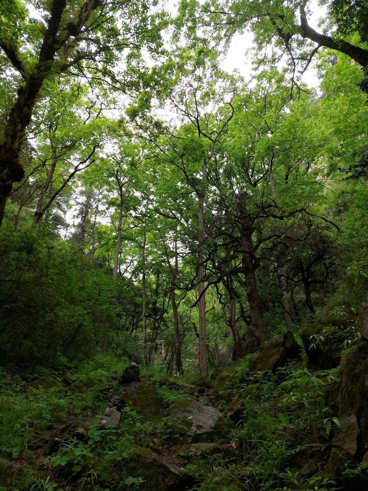 Photograph by Yeshi Choden