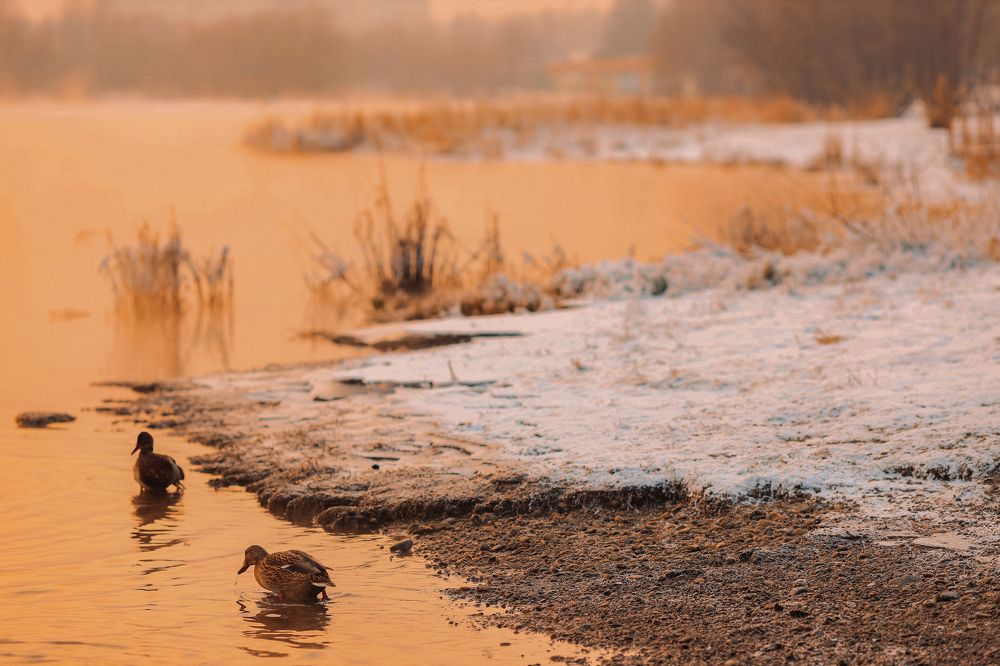Фотография автора Анна Рыжкова