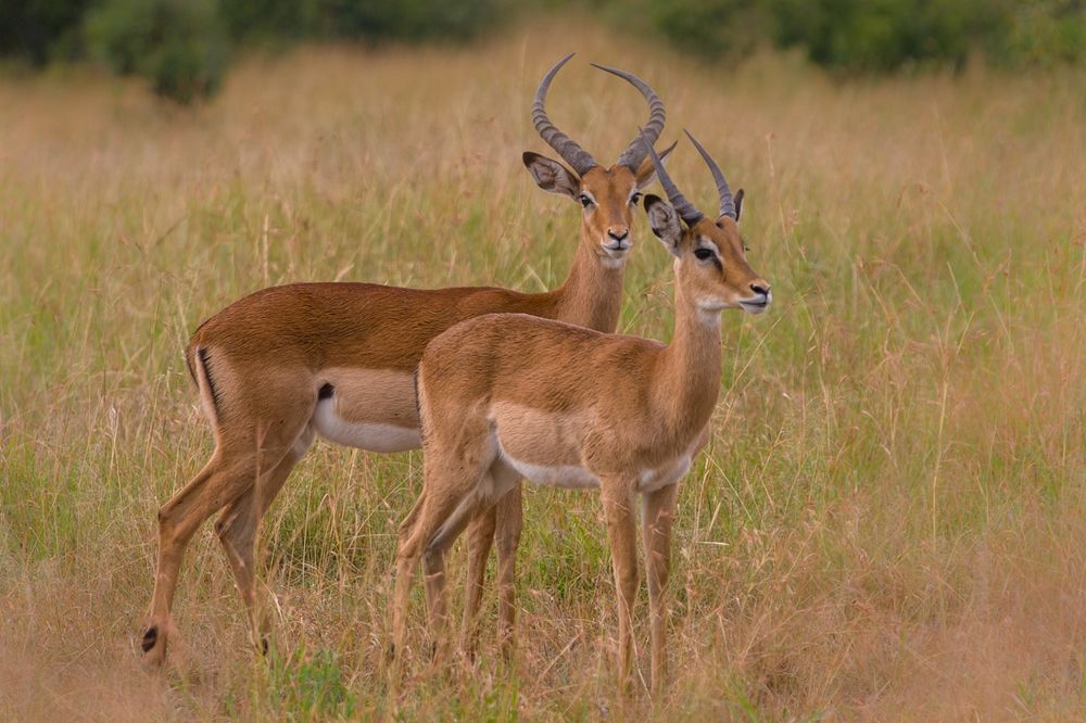 Photograph by Ольга Петруша