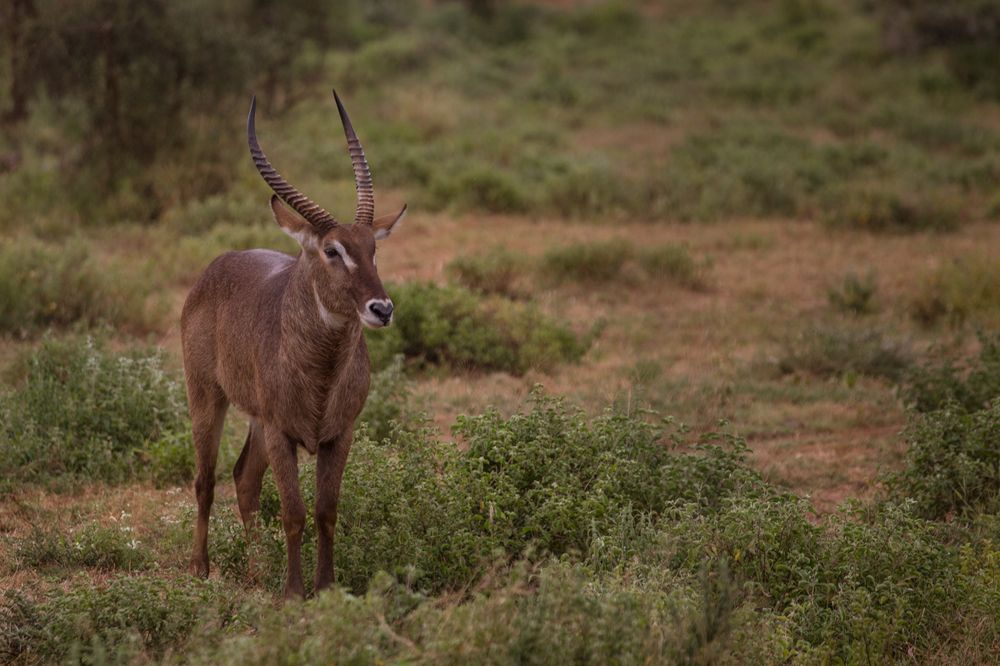 Photograph by Ольга Петруша