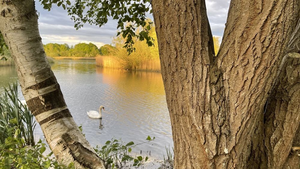 Photograph by Lila Sabbaghian Rad