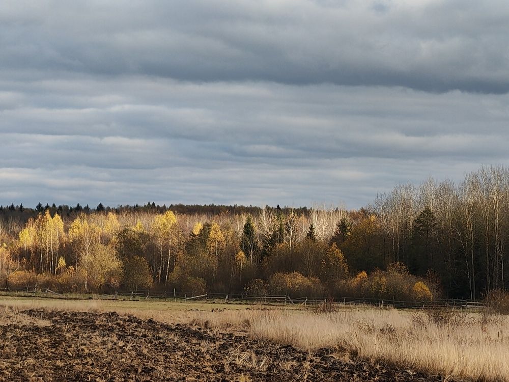 Осень среди полей России.