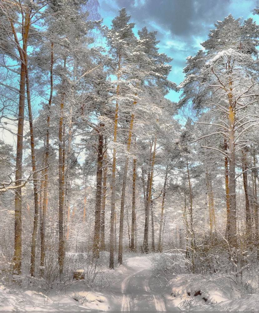 Зимнее утро