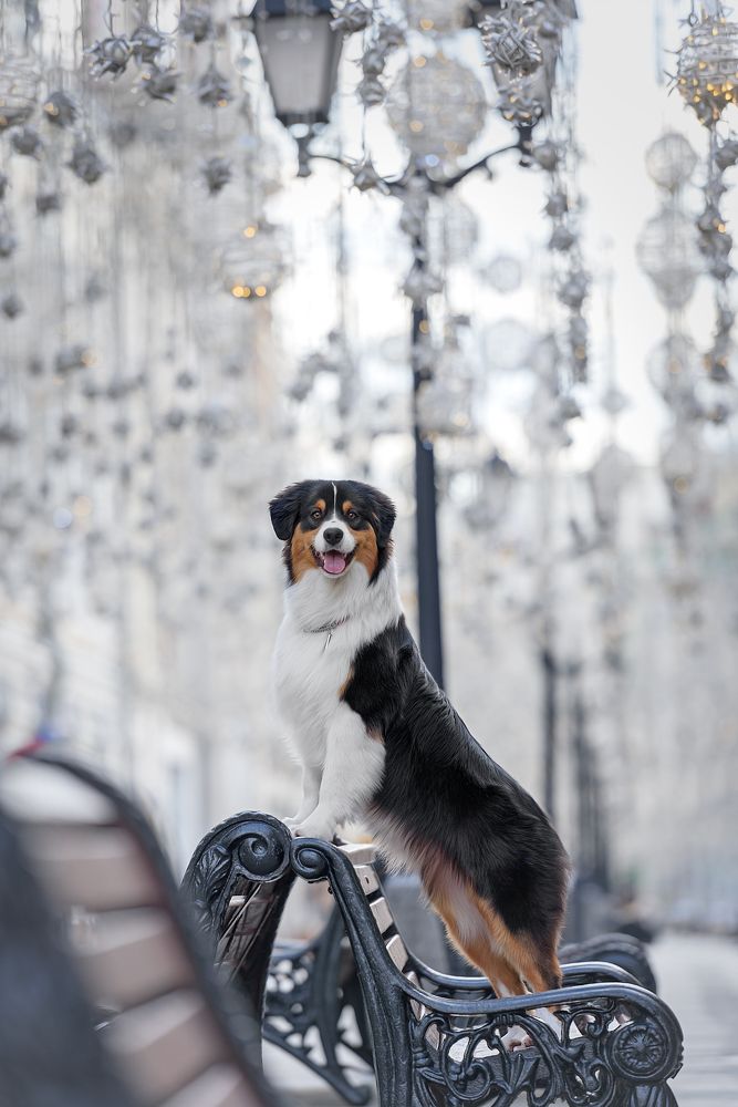 Photograph by Irina Kovaleva