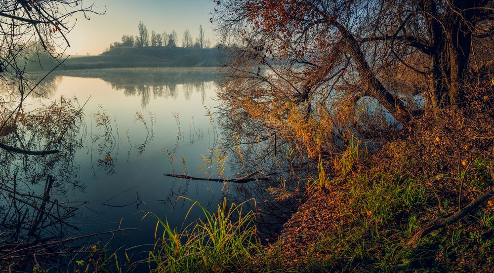 Photograph by Александр