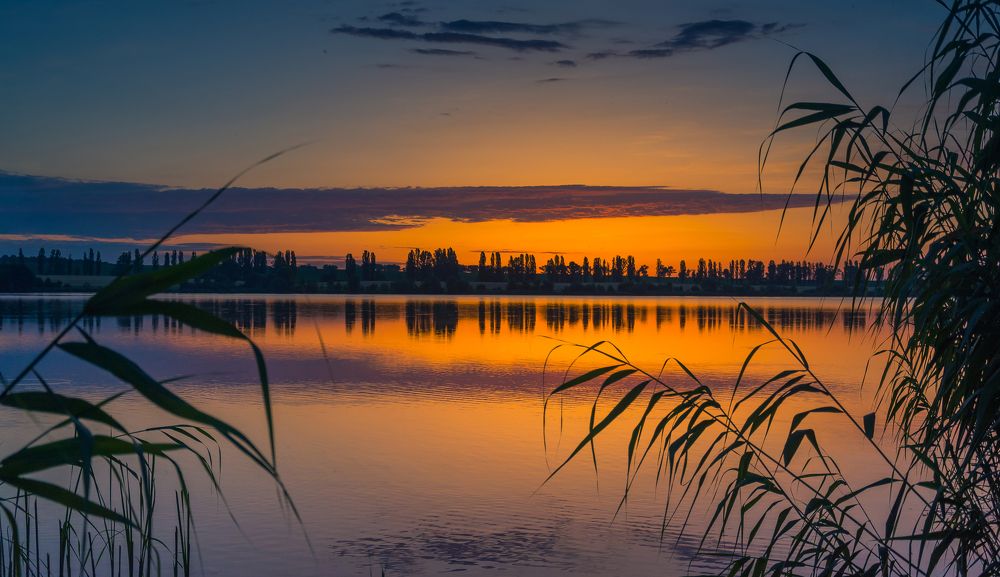 Photograph by Александр