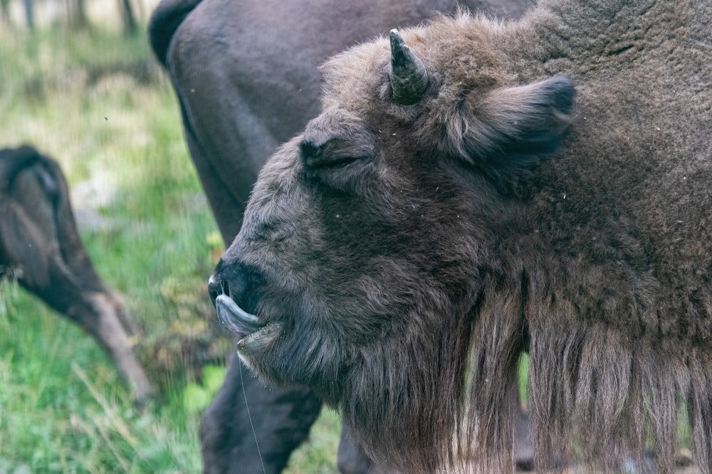 Photograph by Демьян Лопатов