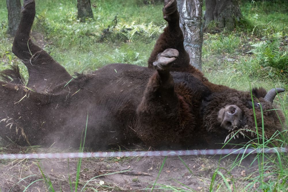 Photograph by Демьян Лопатов