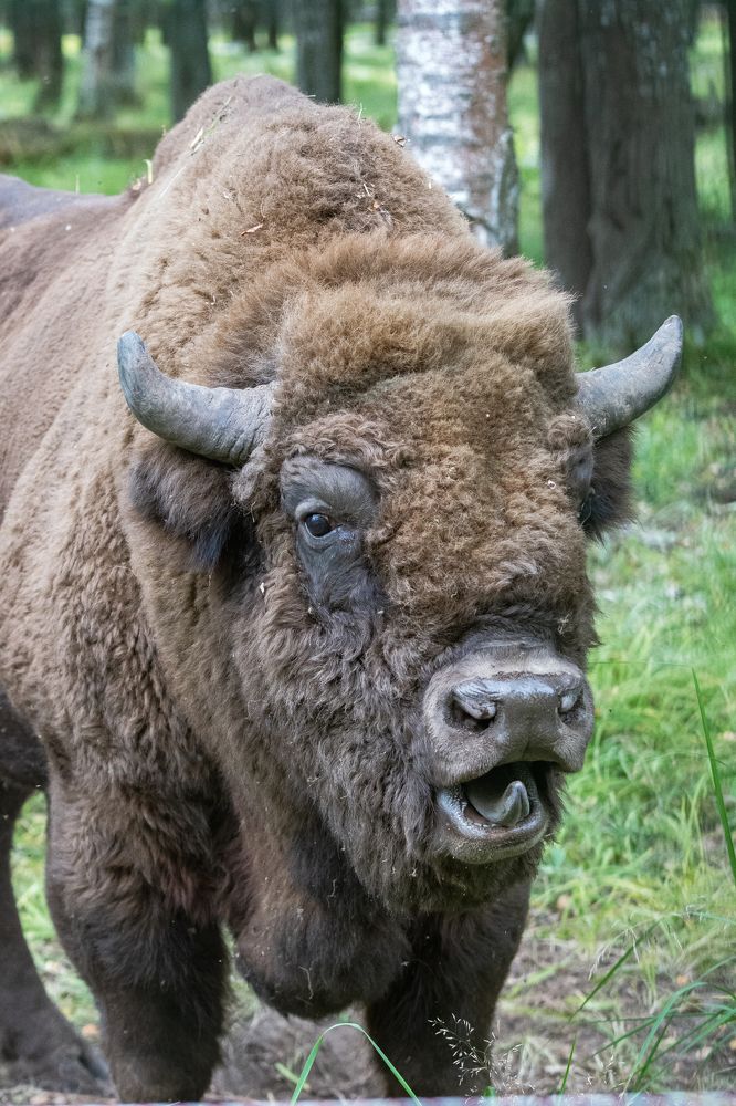 Photograph by Демьян Лопатов