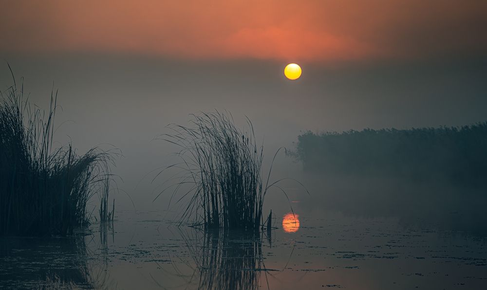 Photograph by Александр