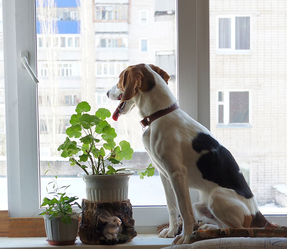 Photograph by Олег Машковский