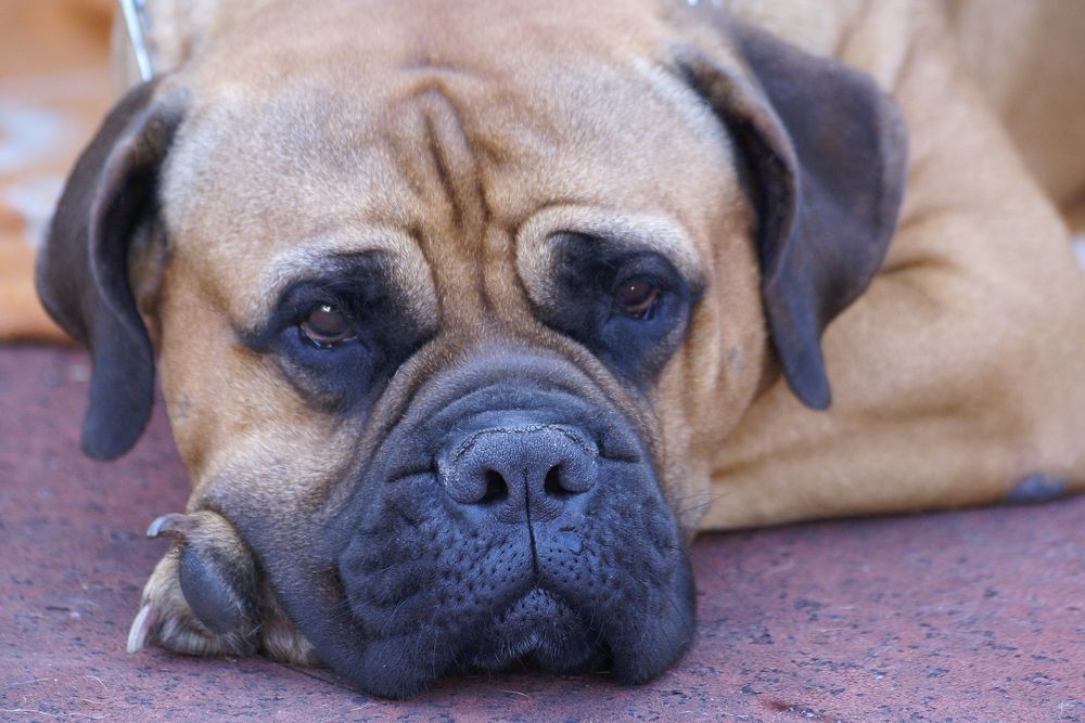 Photograph by Олег Машковский