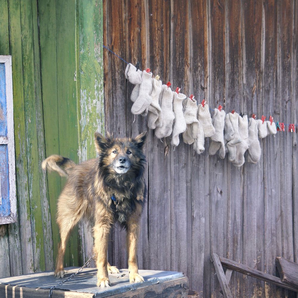 Photograph by Олег Машковский