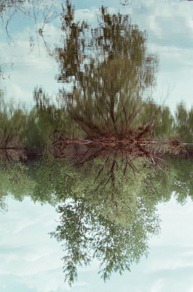 Photograph by Veronika Trubnikova