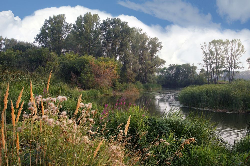 Photograph by Олег Машковский