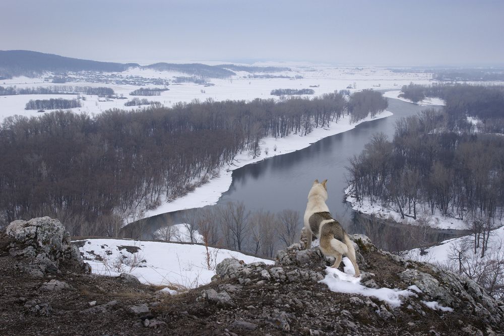 Photograph by Олег Машковский