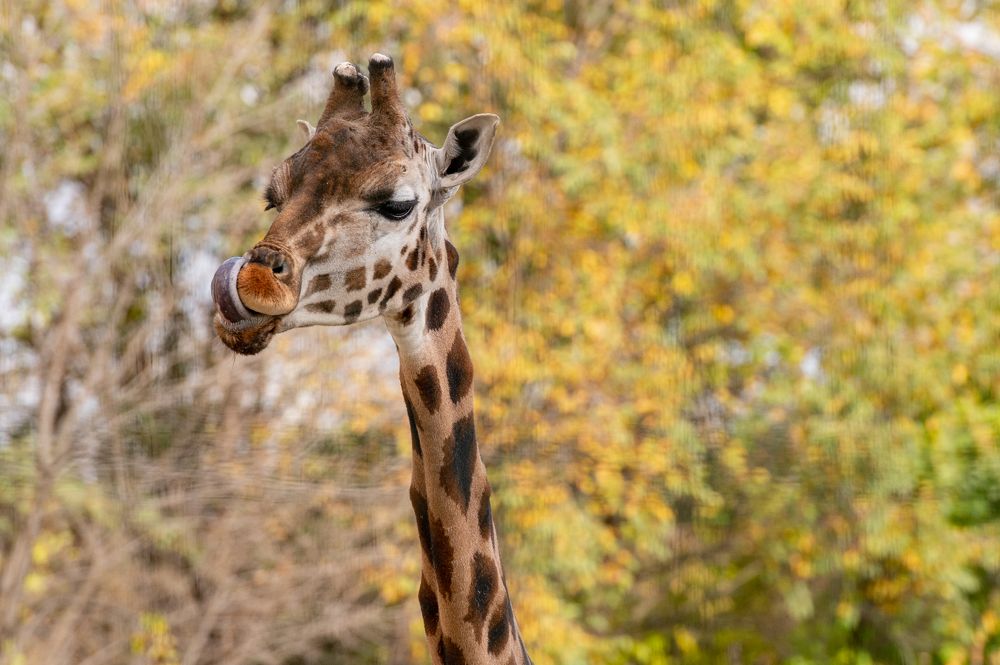 Photograph by Гринникова Мария