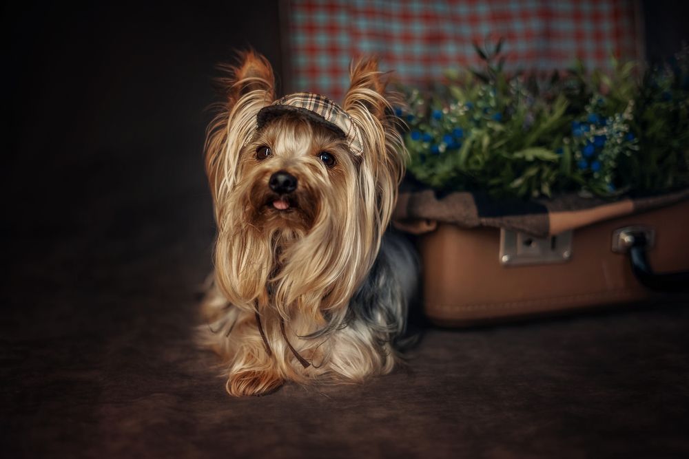 Photograph by юлия луковкина