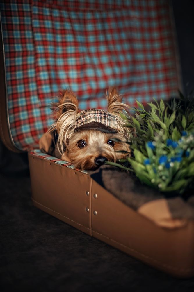 Photograph by юлия луковкина