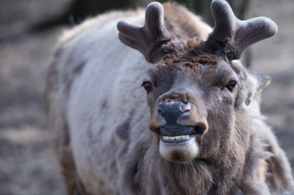 Photograph by Гринникова Мария