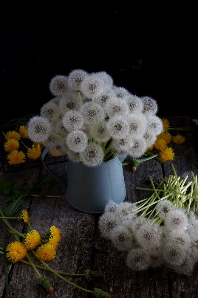 Photograph by Анастасия Шайдорова