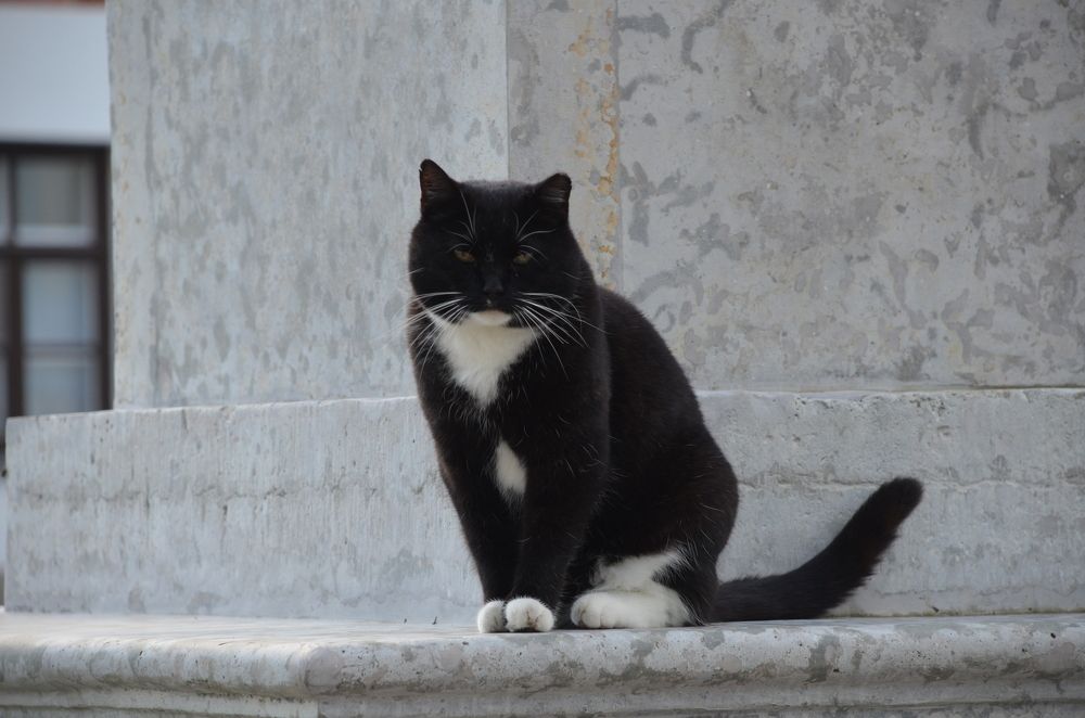 Photograph by Мария Петухова