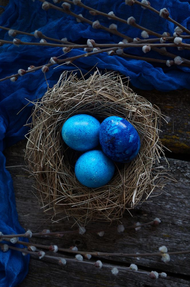 Photograph by Анастасия Шайдорова