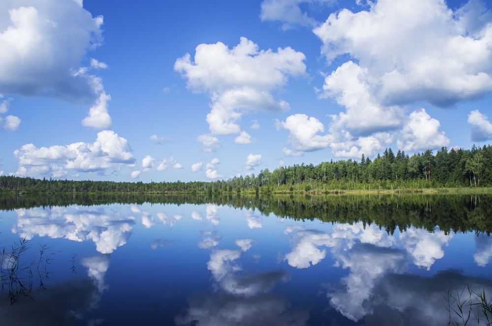 Photograph by Павел Минкевич