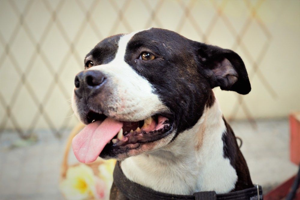 Photograph by Елени Володькова