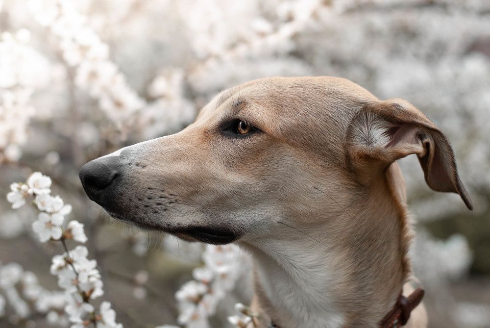 Photograph by Anastasiia Mietielieva