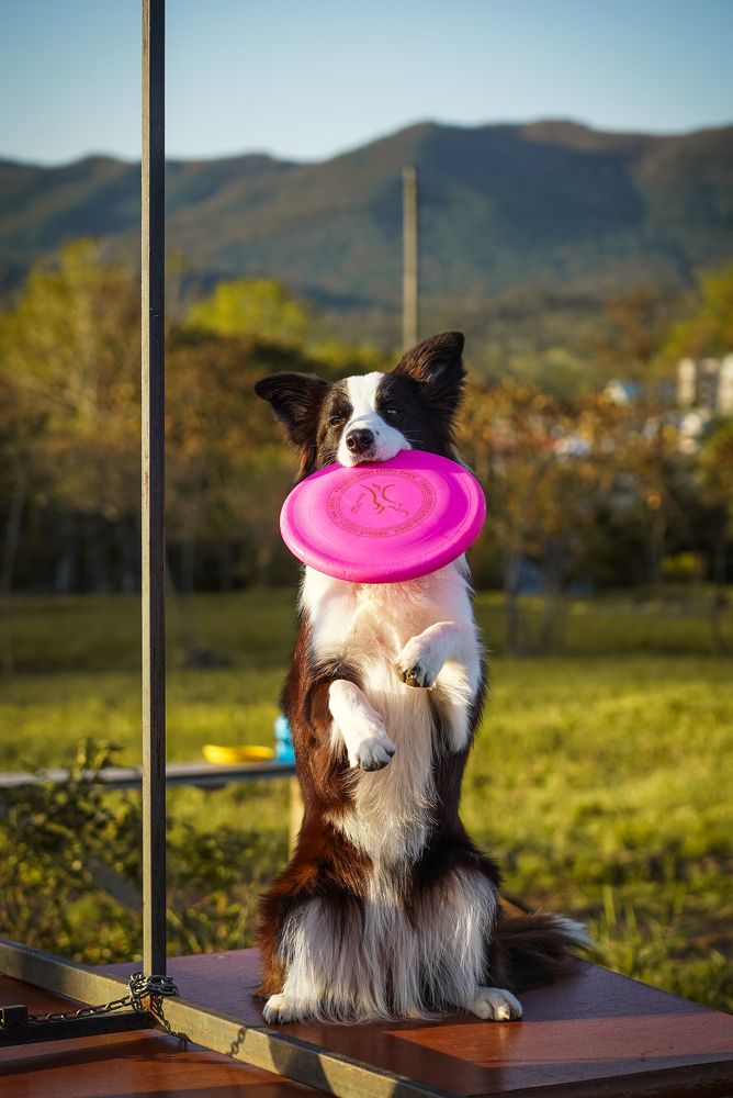 Photograph by Андрей Игнатенко