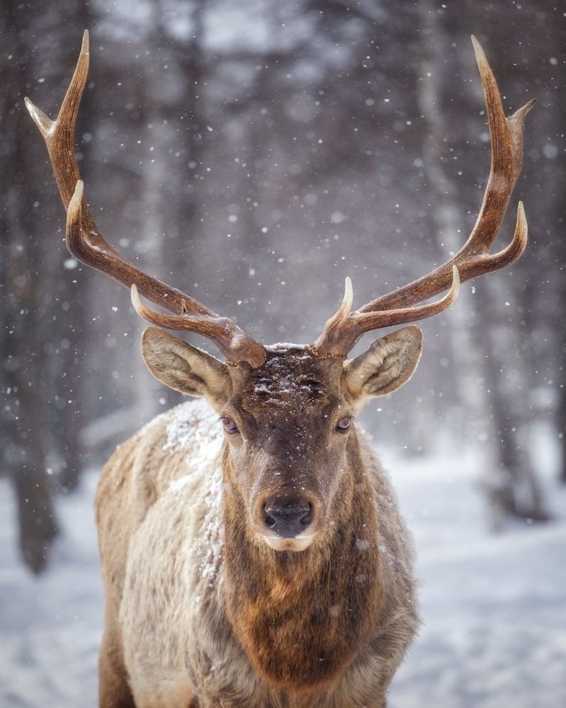 Фотография автора Игорь Филимонов