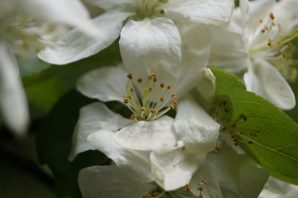 Photograph by Анна Ленчик