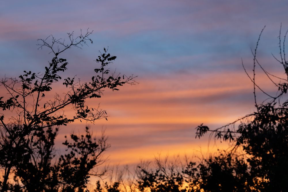 Photograph by Оксана Ершова