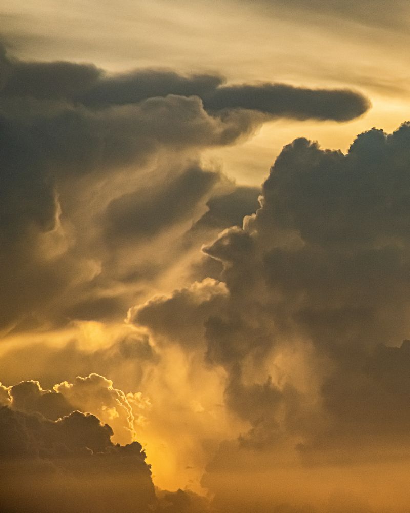 Photograph by Dem Kerrigan