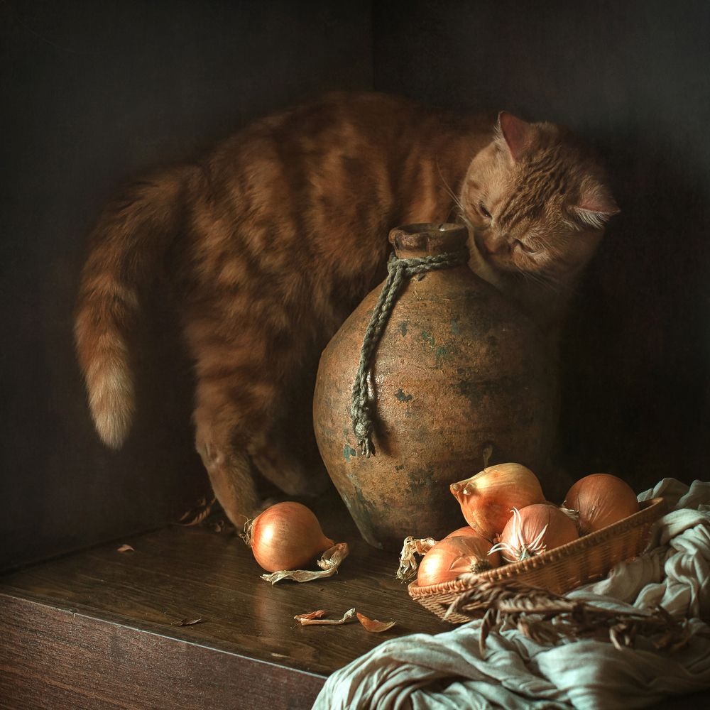 Фотография автора Анна Петина