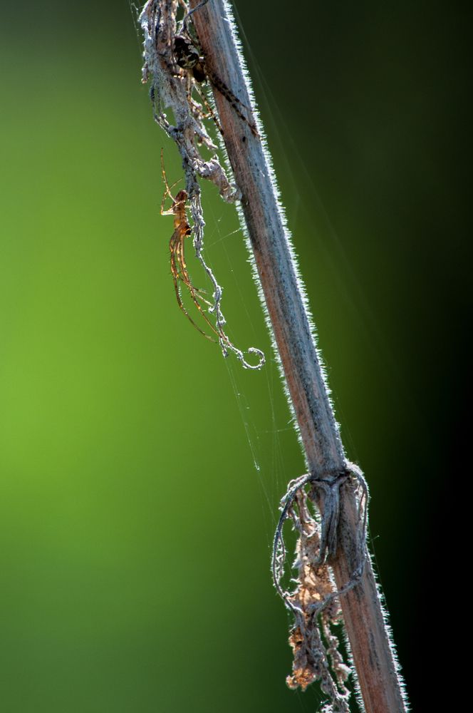 Photograph by Владимир Новиков