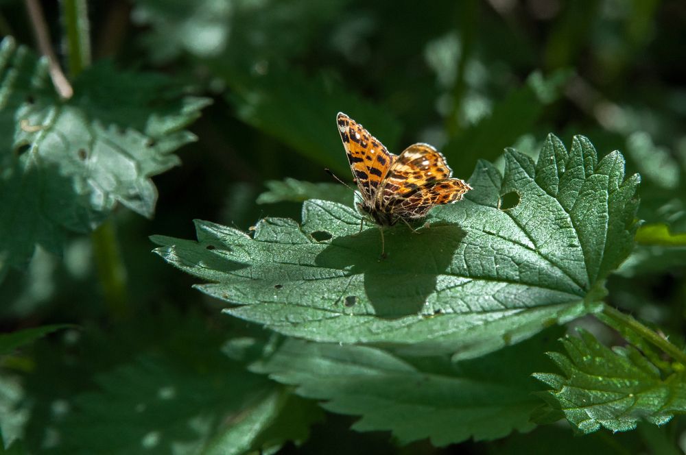 Photograph by Владимир Новиков