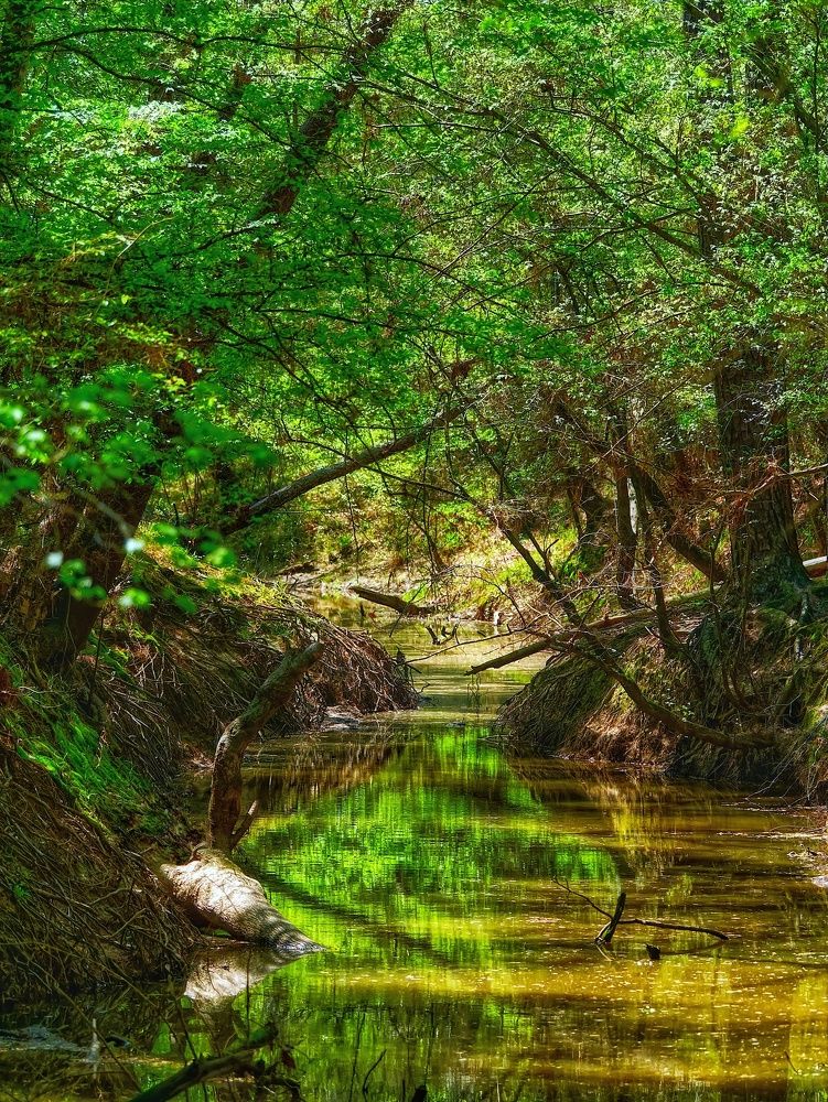 Photograph by Daniel Paredes